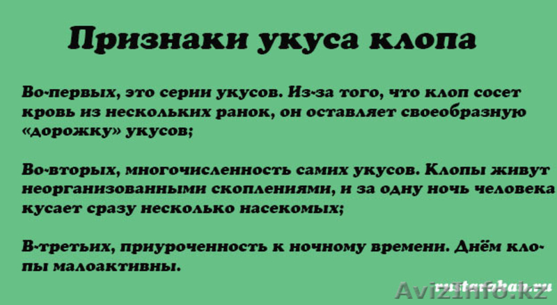 Дезинсекция помещений Клопы - Изображение #2, Объявление #1232884
