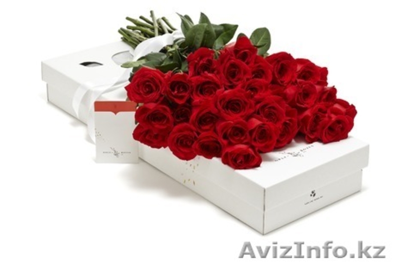 Цветы из Эквадора,купить розу недорого - Изображение #1, Объявление #1257414