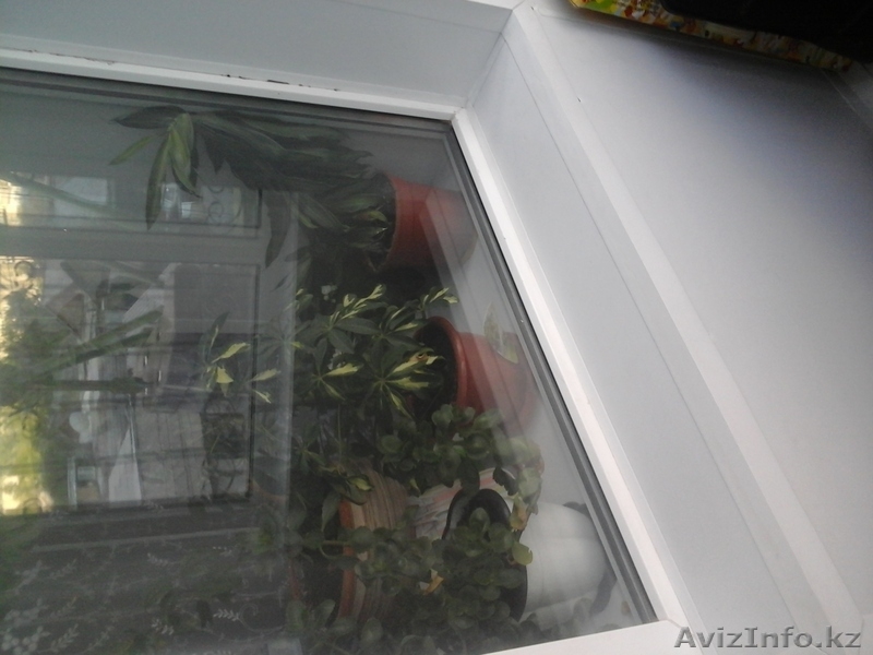 Ваши теплые окна!!! - Изображение #2, Объявление #1270607