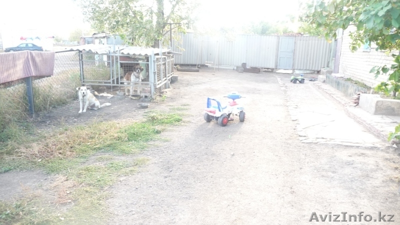 Продам дом поселок Тонкерис - Изображение #8, Объявление #1271685