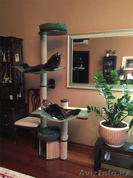 Современные домики для кошек, когтеточки, лазалки, игровые комплексы - Изображение #4, Объявление #1272689