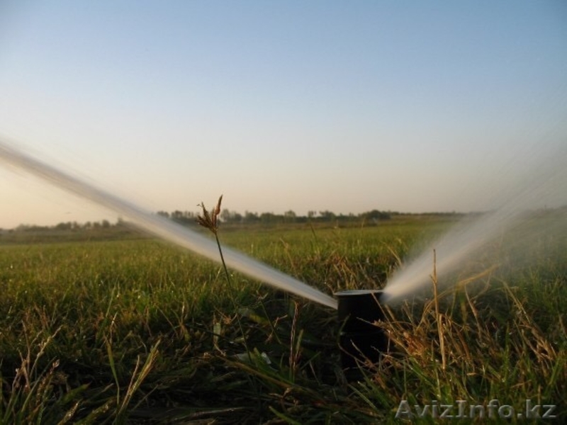 Полив озеленение газон брусчатка освещение - Изображение #2, Объявление #1276086