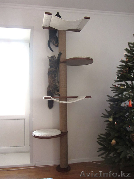 Современные домики для кошек, когтеточки, лазалки, игровые комплексы - Изображение #8, Объявление #1272689
