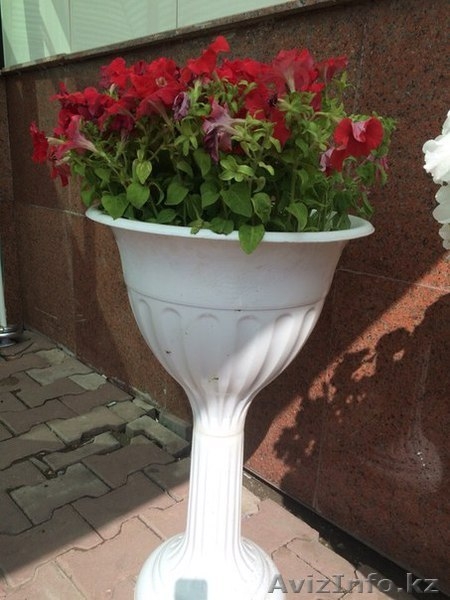Вазоны с петуниями - Изображение #2, Объявление #1285393