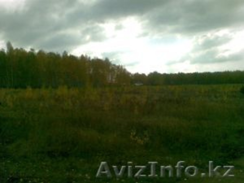 Земля 15,3 ГА около Челябинска. - Изображение #2, Объявление #1196390