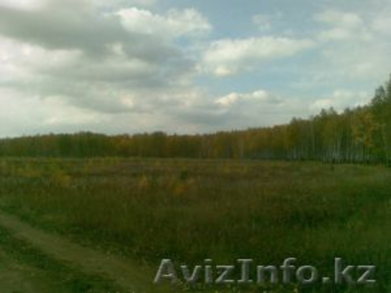 Земля 15,3 ГА около Челябинска. - Изображение #1, Объявление #1196390