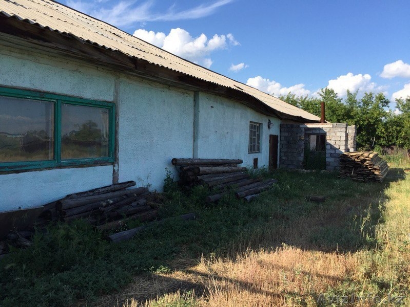 Территория под бизнес (1800м2) г.Акколь 100 км от Астаны - Изображение #4, Объявление #1294053