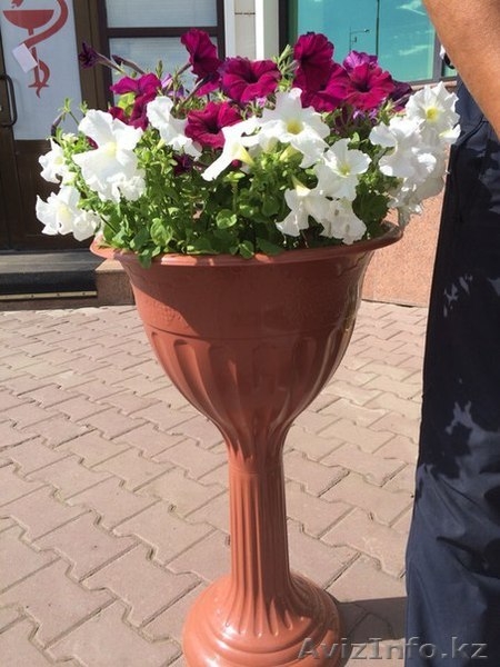 Вазоны с петуниями - Изображение #7, Объявление #1285393