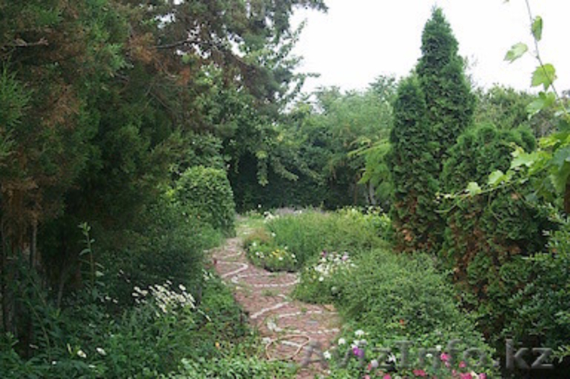 Дом в городе Черноморец на первой береговой линии , Болгария - Изображение #6, Объявление #1297330