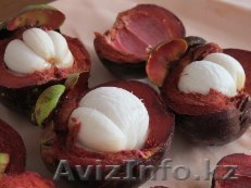 Целебный Сок Ксанго повышает иммунитет - Изображение #2, Объявление #1097701