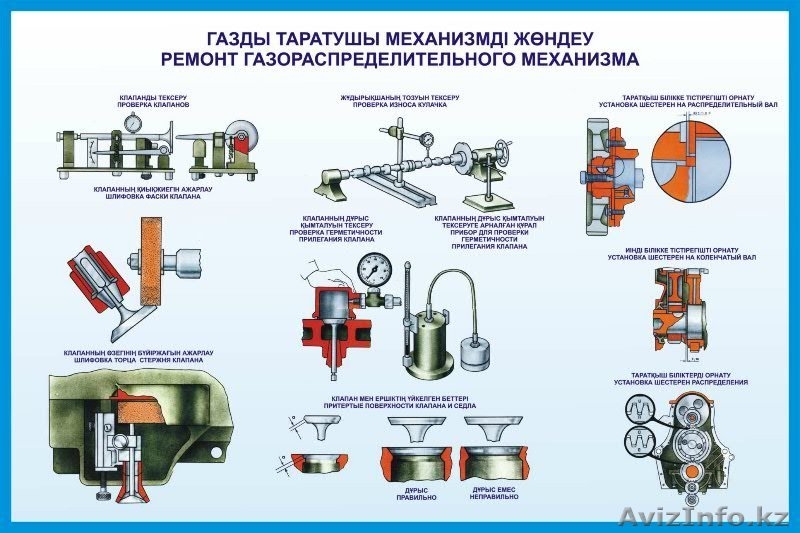 стенды,плакаты ,вывиски для всех учереждении - Изображение #5, Объявление #1323114
