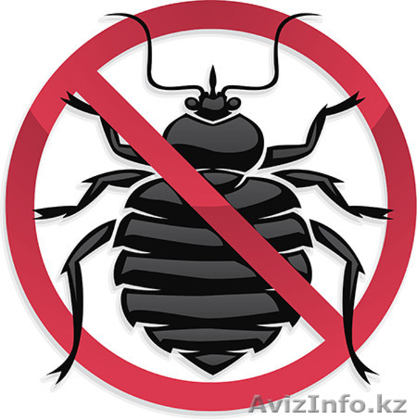 Клопы Уничтожение Дезинсекция - Изображение #1, Объявление #1329798