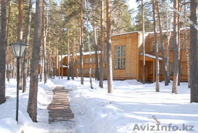 Встретить новый 2016 год в Боровом - Изображение #1, Объявление #1340721