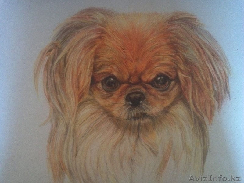 Рисуем на заказ - Изображение #5, Объявление #1362202