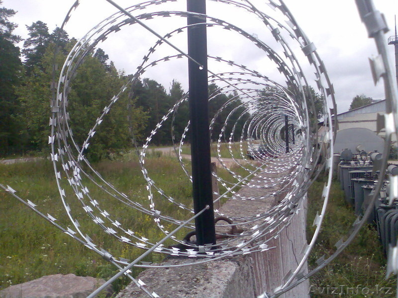 Колючая проволока в Астане и по Казахстану - Изображение #4, Объявление #1365720