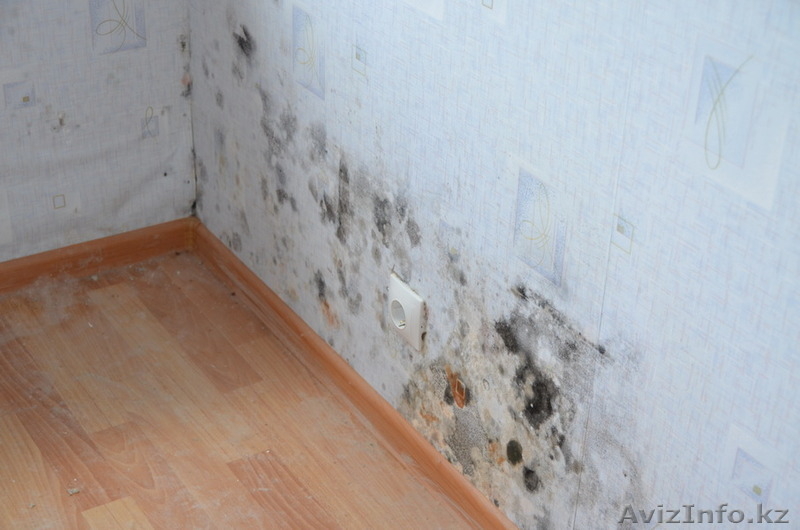 Утепление стен квартиры (наружные работы) - Изображение #3, Объявление #1380184