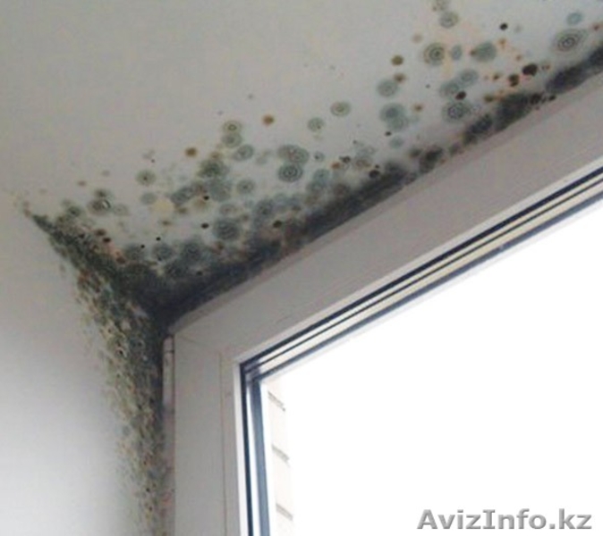 Утепление и герметизация межпанельных швов, рустов (наружные работы) - Изображение #4, Объявление #1380187