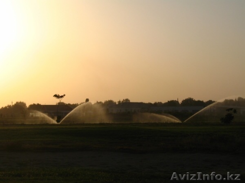 Посадка растений и устройство газонов в вашем саду - Изображение #2, Объявление #1386070