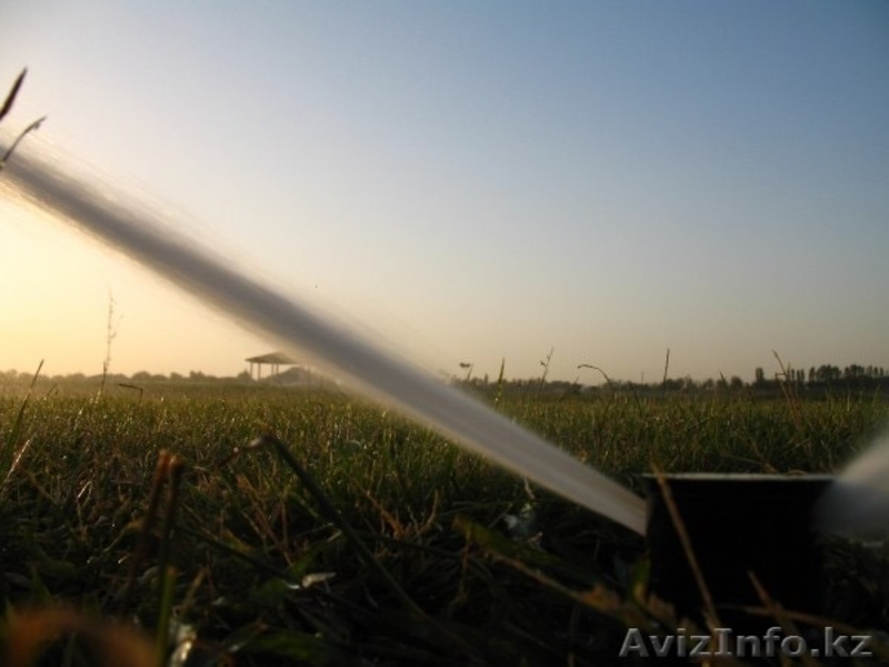 Посадка растений и устройство газонов в вашем саду - Изображение #3, Объявление #1386070