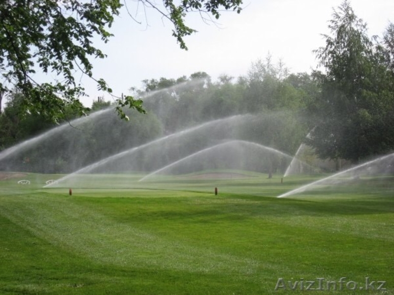 Посадка растений и устройство газонов в вашем саду - Изображение #4, Объявление #1386070