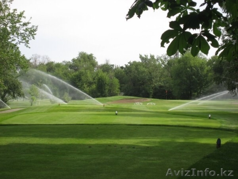 устройство газонов и альпийских горок - Изображение #5, Объявление #1386072