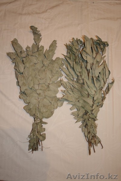 Веники для бани дубовые  - Изображение #4, Объявление #1426794