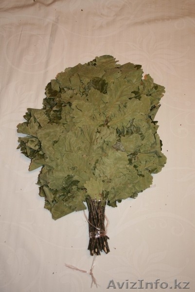 Веники для бани дубовые  - Изображение #1, Объявление #1426794