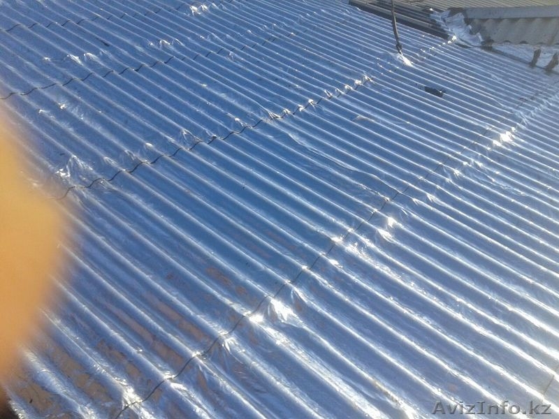 Ризолин в  Астане - Изображение #2, Объявление #1485304