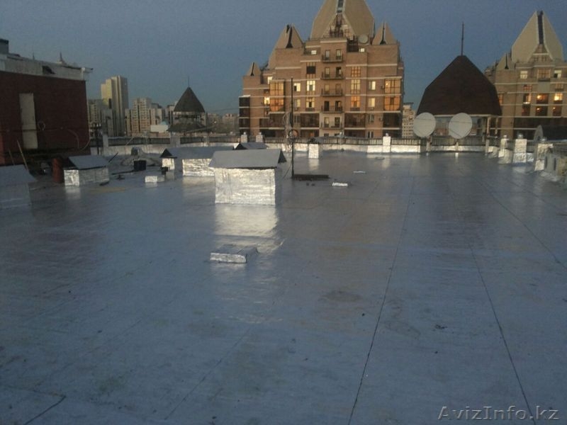 Ризолин в  Астане - Изображение #3, Объявление #1485304