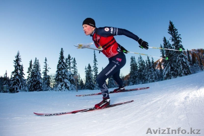 бесплатная секция спортивного ориентирования для детей - Изображение #1, Объявление #1484324
