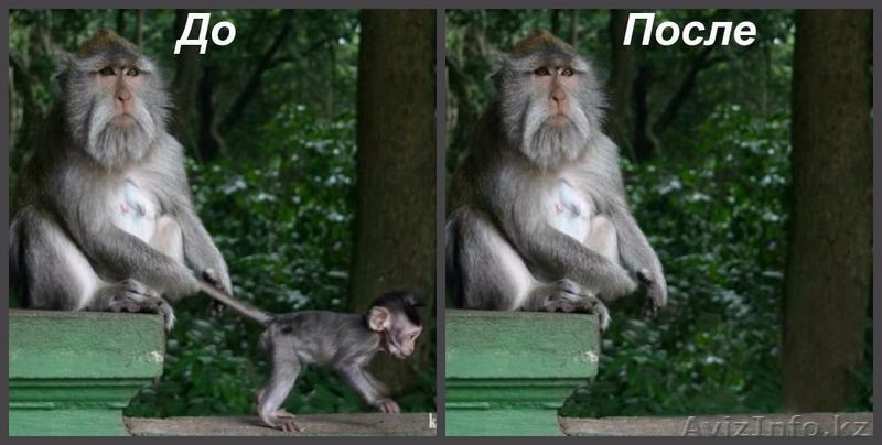 Фотошоп (Photoshop) услуги - Изображение #4, Объявление #1509867