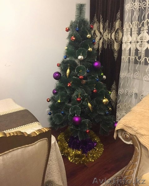 Елки самые низкие цены - Изображение #2, Объявление #1514957