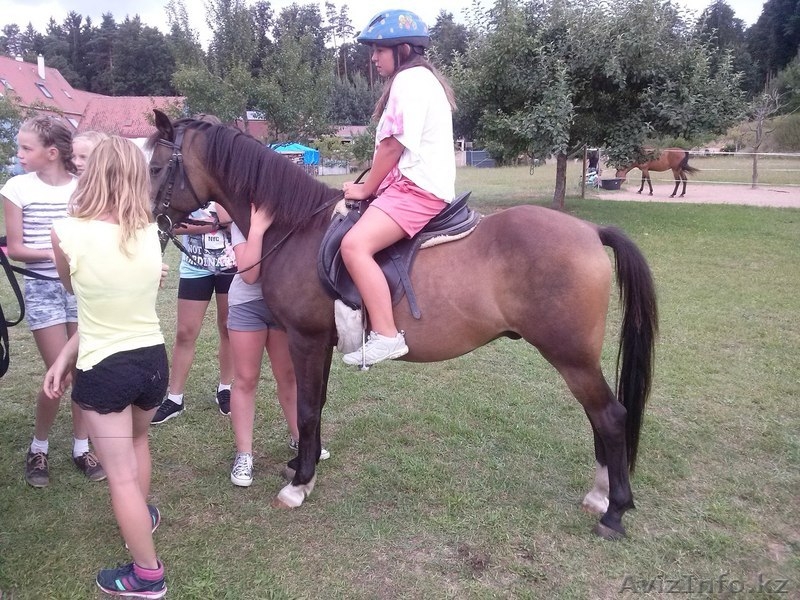 Летний детский интернациональный лагерь  - Изображение #4, Объявление #1528974