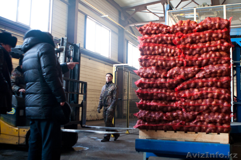 Eurasian Bridge - Изображение #3, Объявление #1532218