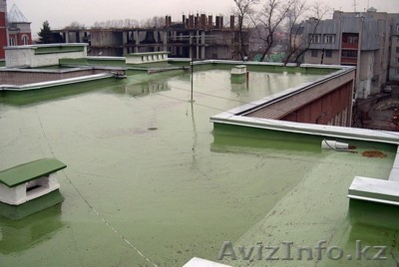 WATERGUM OZONE (Ватергам Озон) - Изображение #2, Объявление #1534898