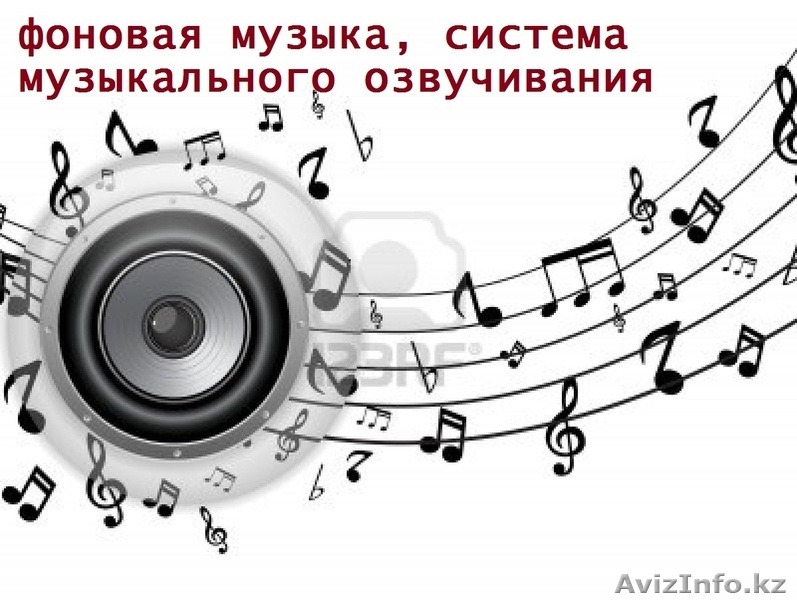 Делаем любое музыкальное оформление, фоновая, динамики, оповещение - Изображение #1, Объявление #1559490