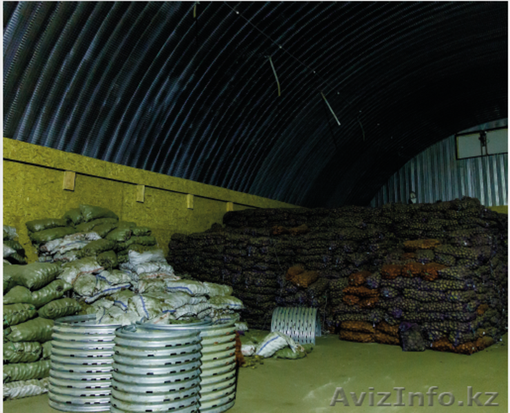 Продается действующий бизнес, овощехранилище - Изображение #4, Объявление #1562101