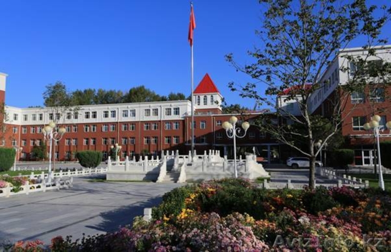  Обучение в Пекине, Колледж, 9 класс  - Изображение #3, Объявление #1561006