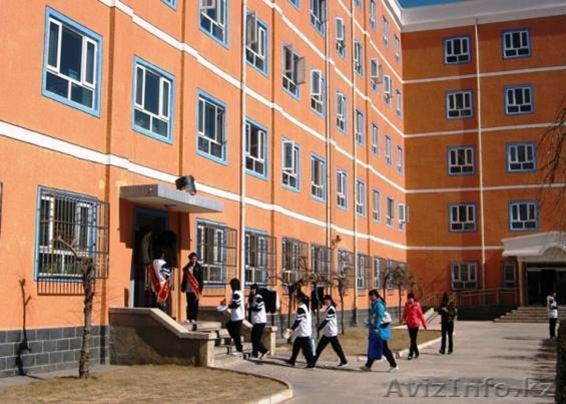  Обучение в Пекине, Колледж, 9 класс  - Изображение #9, Объявление #1561006