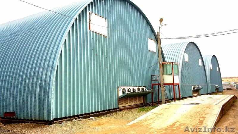 Продается действующий бизнес, овощехранилище - Изображение #3, Объявление #1562101