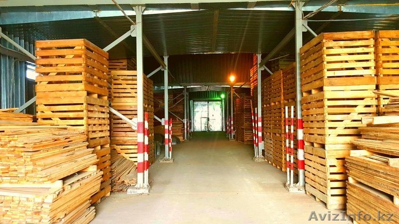 Продается действующий бизнес, овощехранилище - Изображение #2, Объявление #1562101