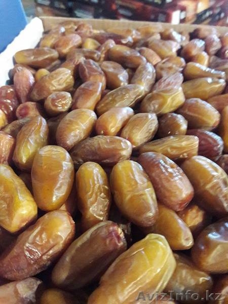 Финики Тунис (Прямые поставки)  - Изображение #2, Объявление #1567127