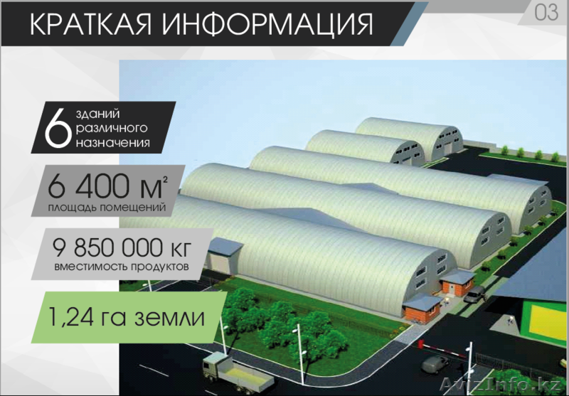 Продается действующий бизнес, овощехранилище - Изображение #7, Объявление #1562101