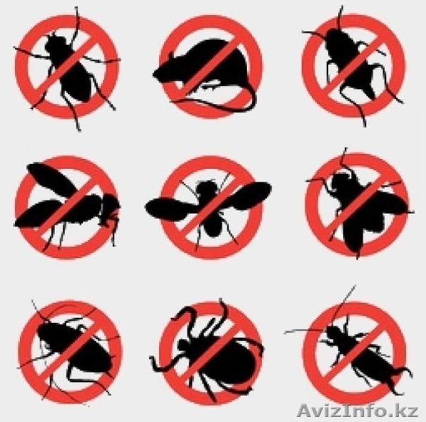 Профессиональная дезинфекция в Астане - Изображение #2, Объявление #1578211