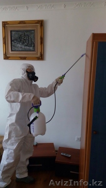 Дезинфекця, дезинсекция, дераизация помещений в Астане - Изображение #2, Объявление #1585074