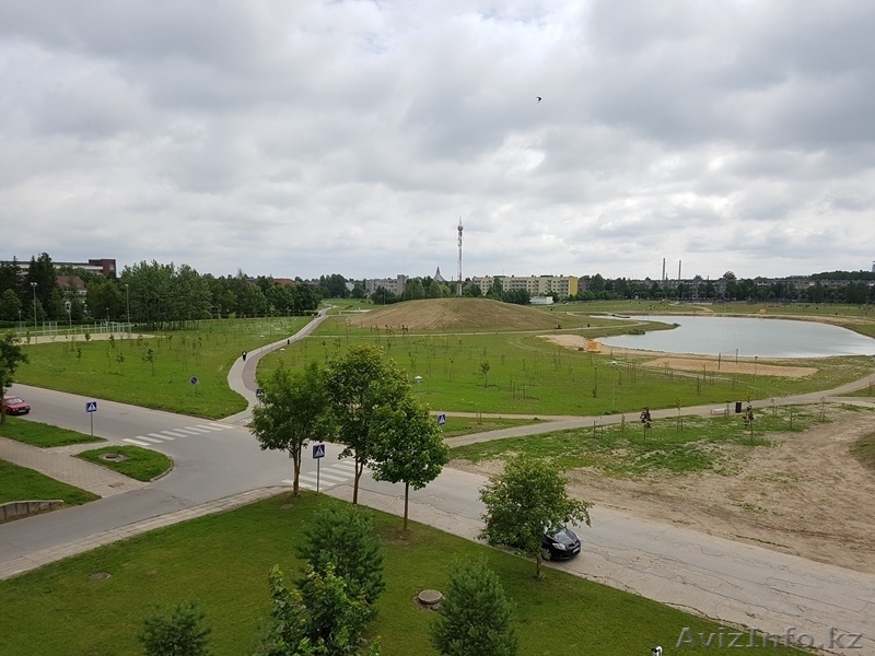 1-комнатная квартира с балконом в реновированном доме городе Науйойи Акмяне - Изображение #8, Объявление #1608223