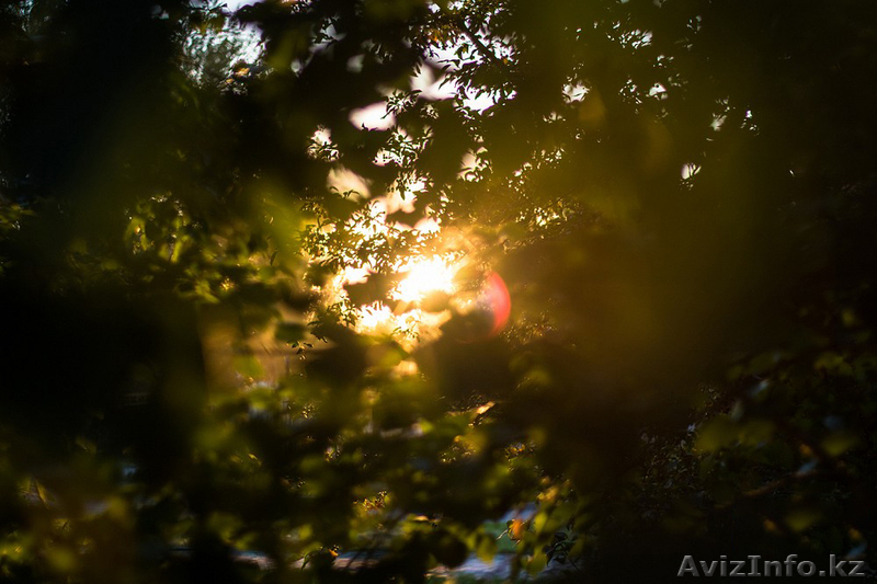 Качественная фото-видеосъемка - быстро, недорого. Вы останетесь довольны! - Изображение #4, Объявление #1023159