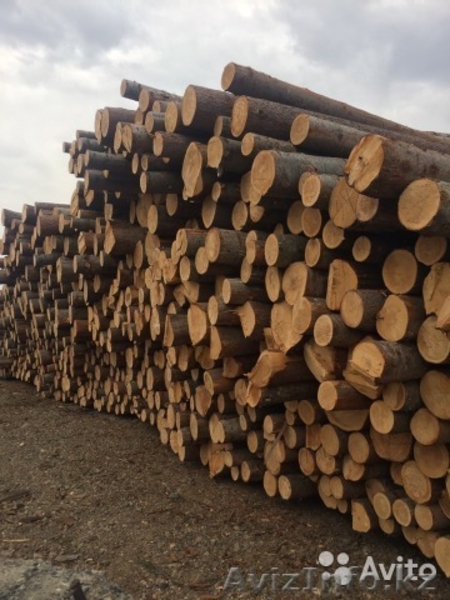 Пиломатериалы. - Изображение #2, Объявление #1610301