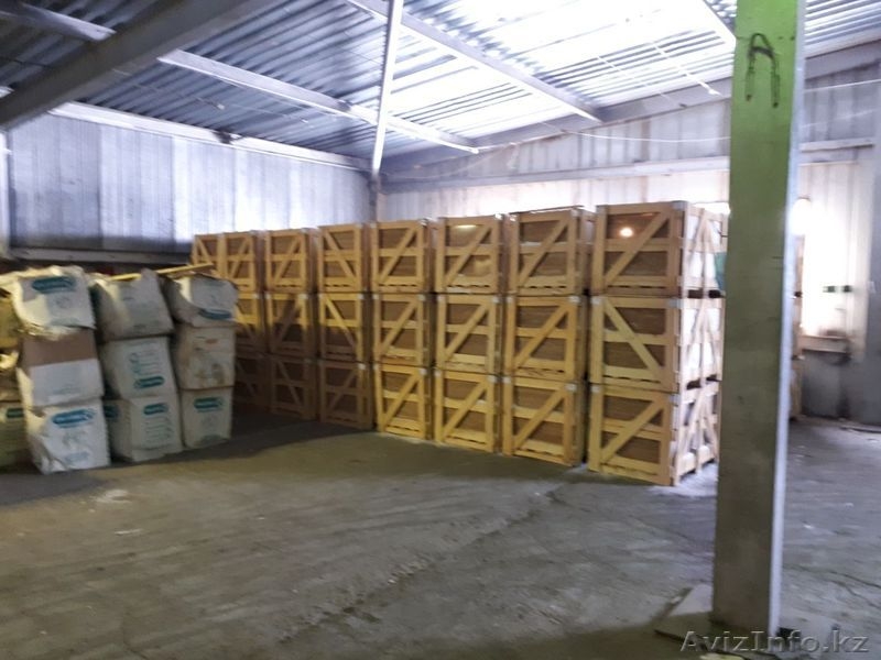 Травертин 300х600 - Изображение #4, Объявление #1610828