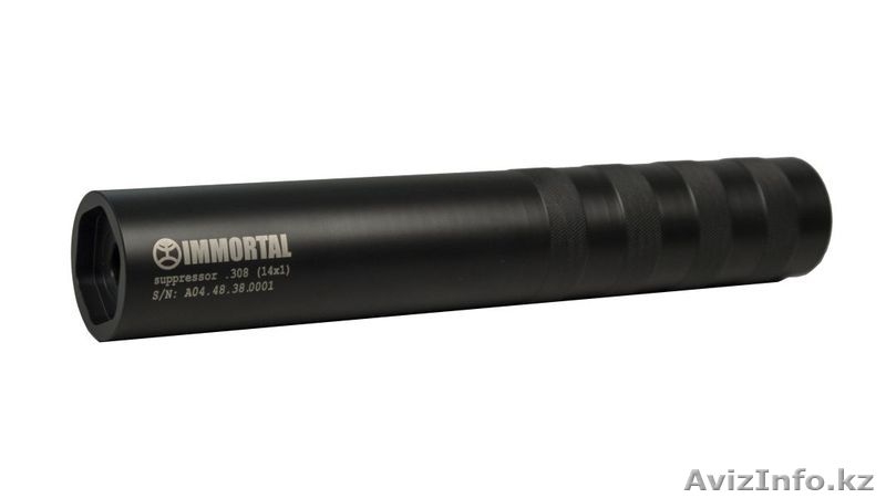 Саундмодератор Steel Immortal - Изображение #1, Объявление #1624183